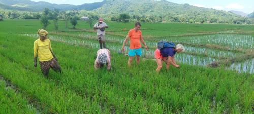 Labuan Bajo House | Inang Amang Homestay