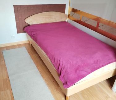 Lugoj Apartment | inchiriez 2 camere in ap cu 3 camere citeste si la despre gazda