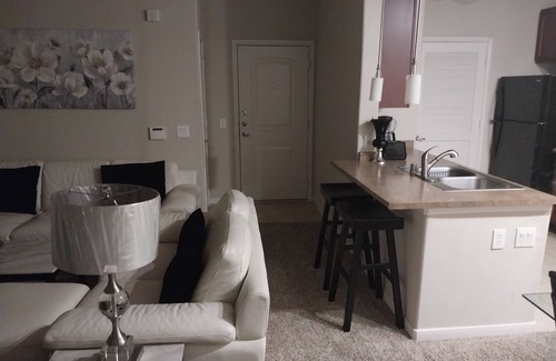 Pearland Apartment | Incognito. In and out. Minutes fron downtown Houston.