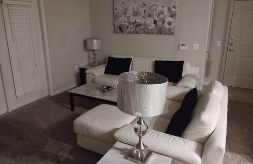Pearland Apartment | Incognito. In and out. Minutes fron downtown Houston.