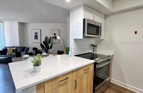 Pentagon City Apartment | Incredible Apartment with Rooftop in Pentagon City