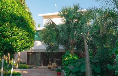 Cancun House | Incredible house surrounded by nature, ideal to enjoy and relax in the pool