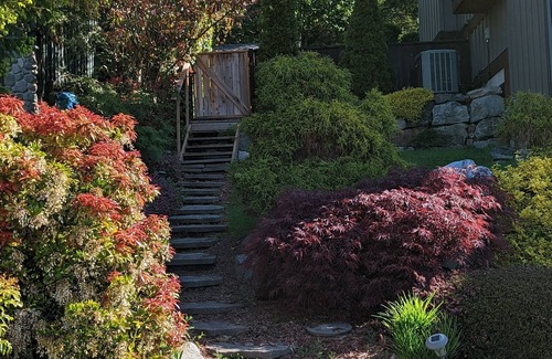 Garibaldi Highlands House | Incredible views in Mountain biking paradise, Squamish BC available Nov / Dec.