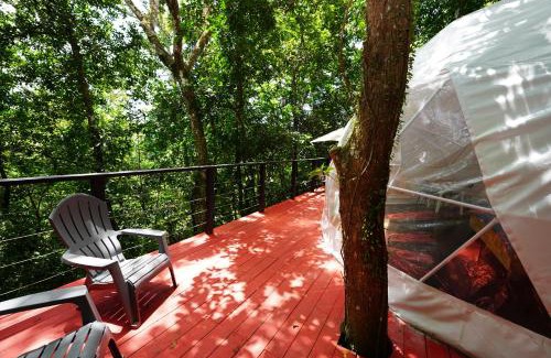 Jayuya House | Indómito Domes at El Yunque Zone