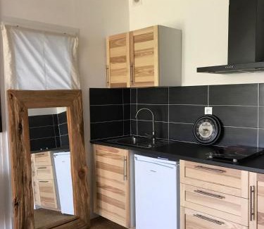 Saint-Clement-de-Riviere Apartment | Independent studio st Clement of rivers 5 mn montpellier