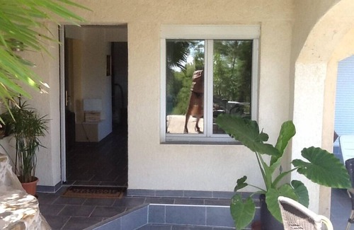 Ensues-la-Redonne Apartment | Independent apartment in villa, in the pines overlooking the sea.