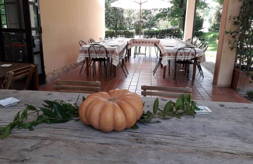 Cagli Other | Independent apartment in a farmhouse of a winery.