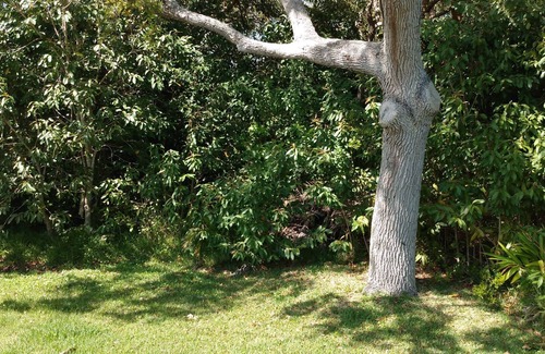 Roseland House | Indian River Get-A-Way near the FL Intracoastal Waterway