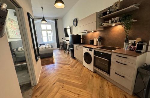 Altstadtviertel Apartment | Industrial Apartment Schlossberg