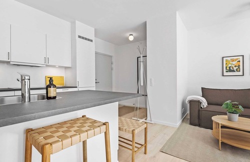 Midtbyen Apartment | Inner City Grand Suite