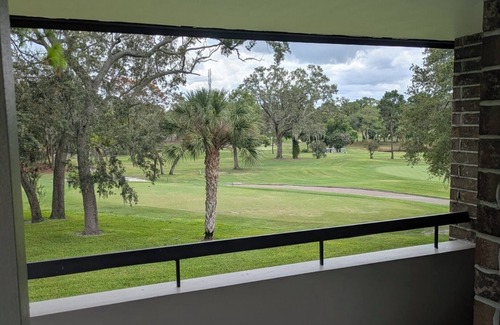 Palm Harbor Condo | Innisbrook Resort condo overlooking 1st green on the Copperhead golf course