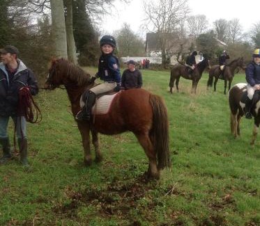 Bunratty Bed & Breakfast | Innisfree B&B