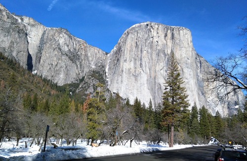 Yosemite National Park Cabin | INSIDE YOSEMITE PARK! Cozy, Peaceful