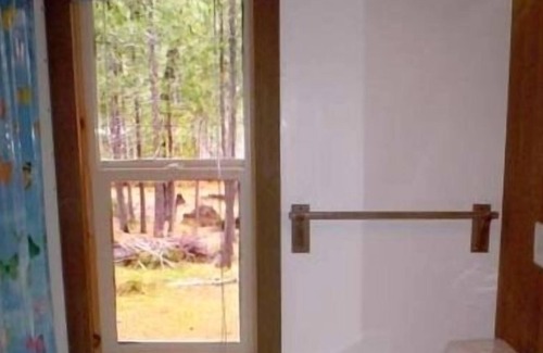 Foresta Cabin | INSIDE YOSEMITE! FORESTA! Peaceful, Artistic, the Place to be!