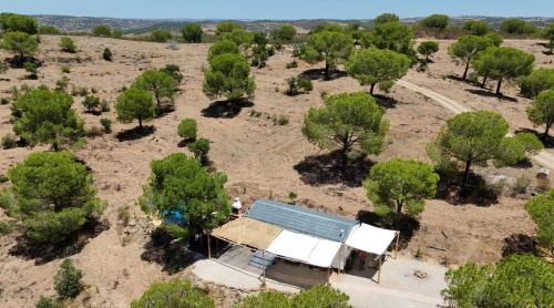 Martim Longo Other | Into the wild