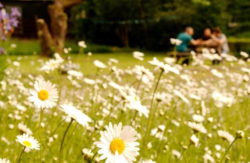 Inveraray Hostel | Inveraray Hostel