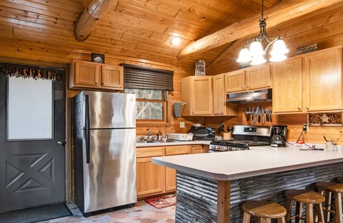New Lisbon Cabin | Inviting dog-friendly cabin with hammock, fireplace, shared fishing pond, & A/C