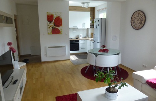 Mali Radic Apartment | Isaka Samokovlije Apartment