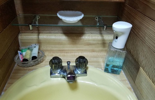 Marrowstone Cabin | Island Cabin, water view, beach access, firepits, BBQs, Pet friendly