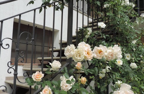 Cocconato Apartment | Isolated on hill, flat with terrace among romanesque art,quiet,nature.