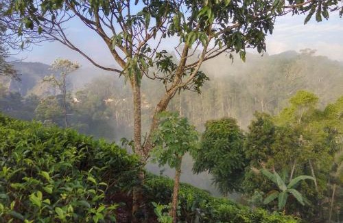 Ambagollapathana House | Isuru Homestay