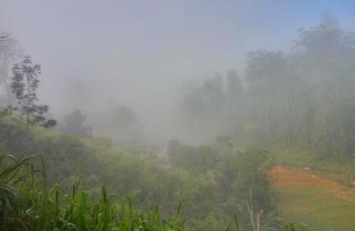 Ambagollapathana House | Isuru Homestay