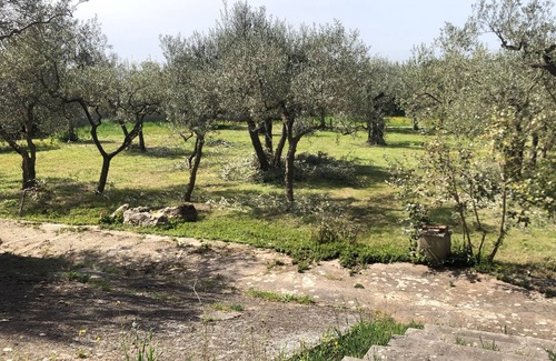 Sant'Angelo Romano Villa | Villa con terreno per Gruppi fino a 12 persone