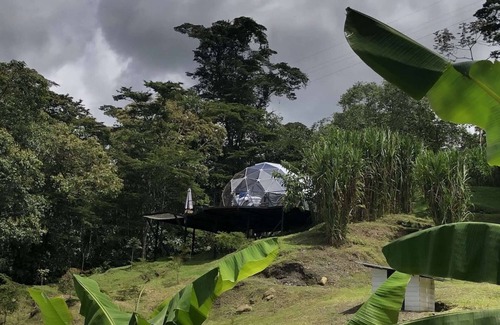 San Francisco House | It is a beautiful luxury glamping site located next to a forest reserve and a great view.