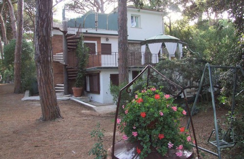 Marina di Castagneto Carducci Apartment | 50 m² Apartment ∙ 1 bedroom ∙ 4 guests
