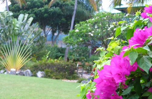 Estate Golden Rock Condo | It's A Breeze To Enjoy Our Oceanview Condo, Just Flip Flop Inn.