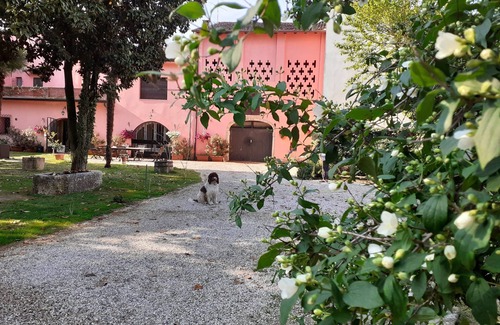 Salionze House | Close to Lake Garda on bike path. Large portion of villa with garden