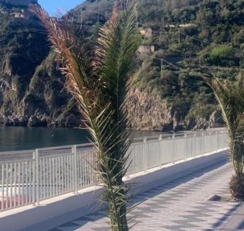 Sant'Alessio Siculo Apartment | Casa vacanze STEVIA