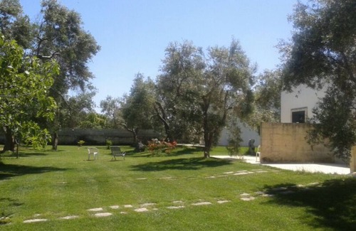 Torre Specchia Ruggeri House | Vacation home sea and olive trees 4