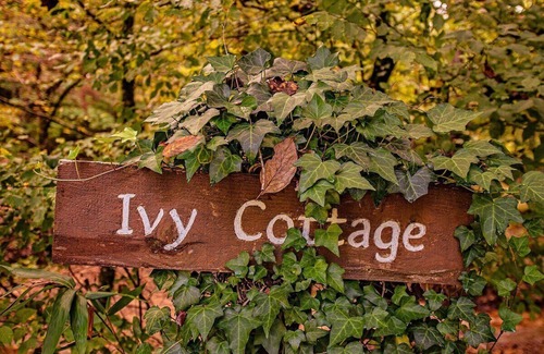 Benton Apartment | Ivy Cottage | Cute Cottage Along The Ocoee River