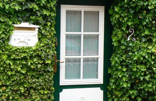Friedrichstadt House | Ivy nest, Germany