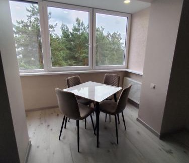 Visaginas Apartment | J&N Hause