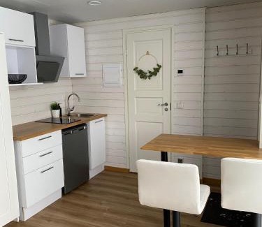 Tartu Apartment | Jaama Villa Studio Flat Surrounded by Garden