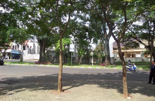 Klojen House | Jacatra Homestay