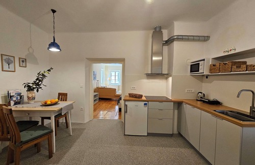 Ljubljana City Centre Apartment | Jager 2 Tour As/1-room APP with AC, Wi-Fi, in the pedestrian zone