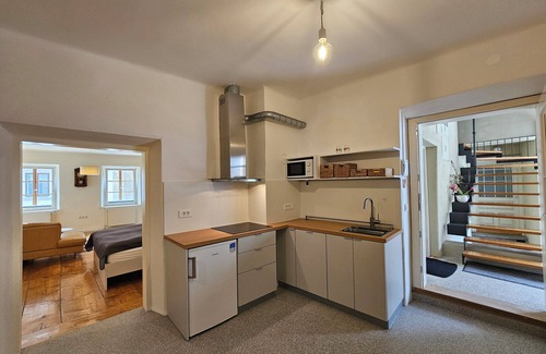 Ljubljana City Centre Apartment | Jager 2 Tour As/1-room APP with AC, Wi-Fi, in the pedestrian zone