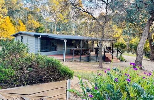 Jamieson House | Jamieson Bush Retreat - with 40 acres private bushland to explore!