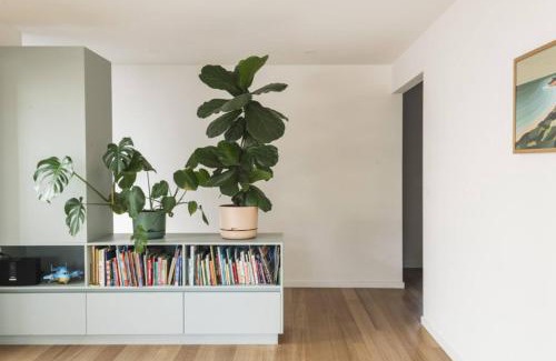 Jan Juc House | Jan Juc Family Nest