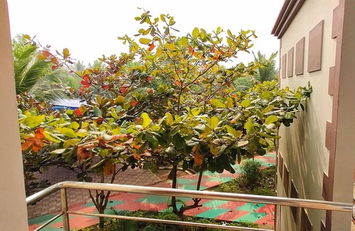 Konark Hotel | Janardan Coco Palms Resort