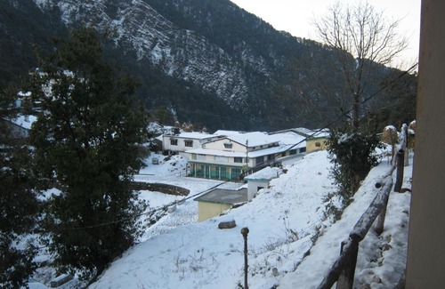 Pangot Resort | Janardan Resort Pangot - Nainital