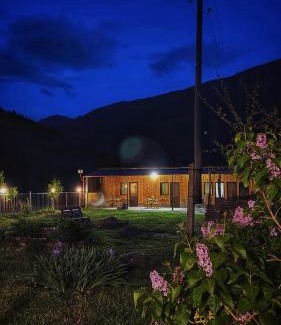 Kazbegi Apartment | Januka Studio