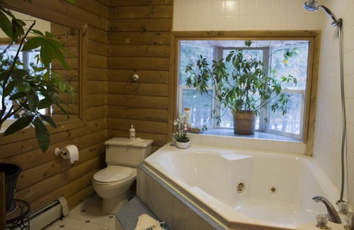 Spencer Apartment | Japanese jacuzzi suite surrounded by state forest! 11 miles south of Ithaca