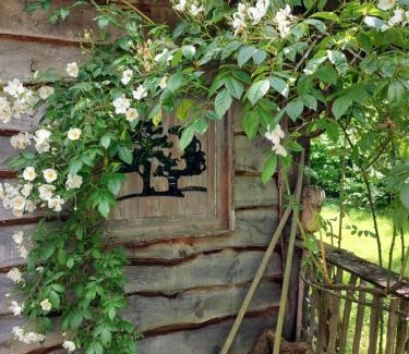 Gesves Bed & Breakfast | Jardin Rêveur la cabane La tête dans les étoiles