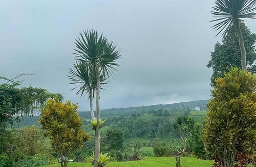 Penebel Bed & Breakfast | Jatiluwih Bed and Breakfast