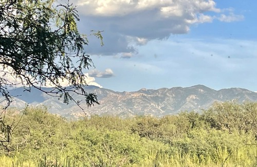 Pearce Bed & Breakfast | Javelina Room in beautiful, well established country inn on 14 forested acres.