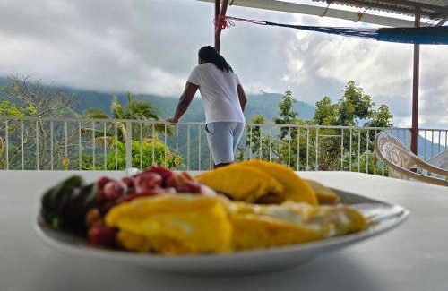 Penlyne Castle House | Jay's Guest House II